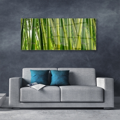 Obraz Szklany Bambusowy Las Pędy Bambusa