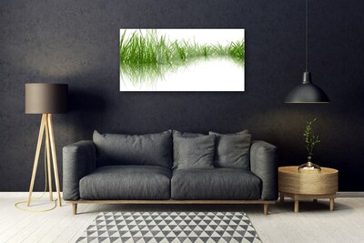 Obraz Szklany Trawa Natura Roślina