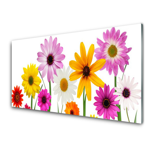 Obraz Szklany Kolorowe Kwiaty Natura