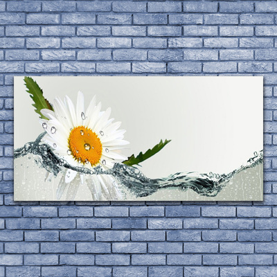 Obraz Szklany Stokrotka w wodzie Roślina