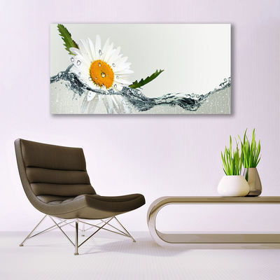 Obraz Szklany Stokrotka w wodzie Roślina