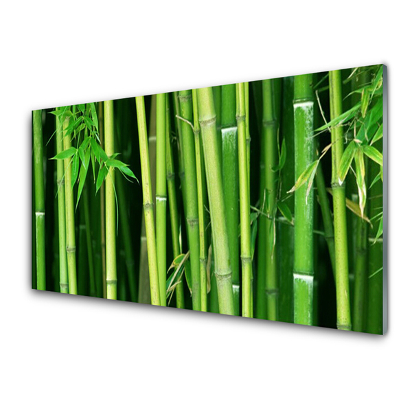 Obraz Szklany Las Bambusowy Bambus Natura