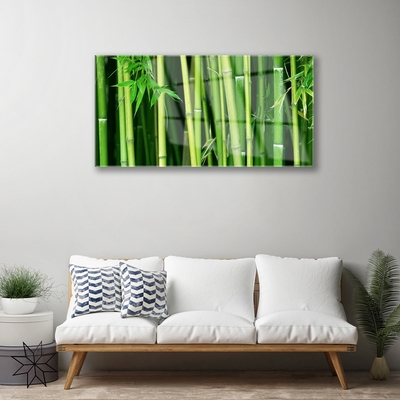 Obraz Szklany Las Bambusowy Bambus Natura
