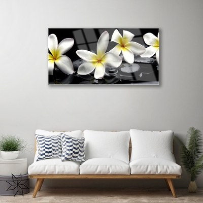 Obraz Szklany Piękny Kwiat Plumeria