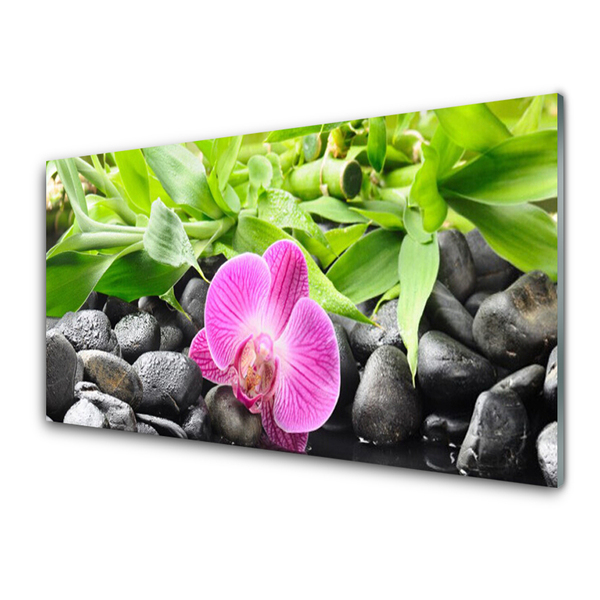 Obraz Szklany Kwiaty Orchidea Roślina