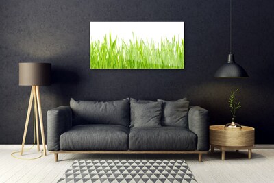 Obraz Szklany Trawa Natura Roślina