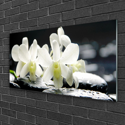Obraz Szklany Kamienie Kwiaty Orchidea