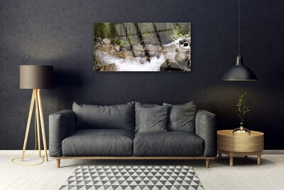 Obraz Szklany Las Rzeka Wodospady