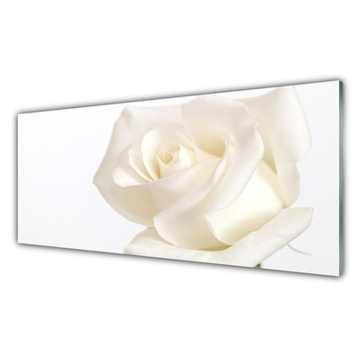 Obraz Szklany Róża Kwiaty