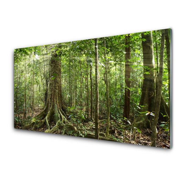 Obraz Szklany Las Natura Dżungla Drzewa