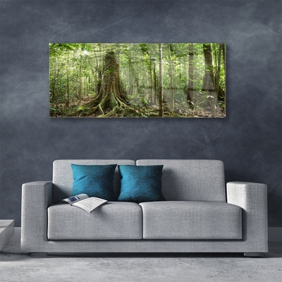 Obraz Szklany Las Natura Dżungla Drzewa