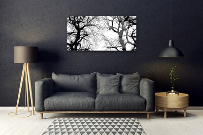 Obraz Szklany Drzewa Natura Czarno-Biały