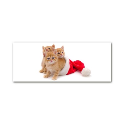 Obraz Szklany Koty Święta Święty mikołaj