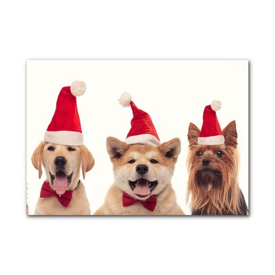 Obraz Szklany Psy Święty Mikołaj Święta