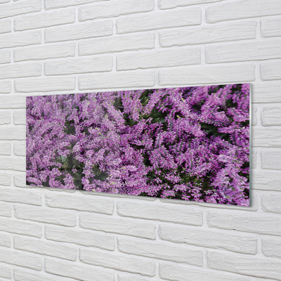 Szklany Panel Fioletowe kwiaty