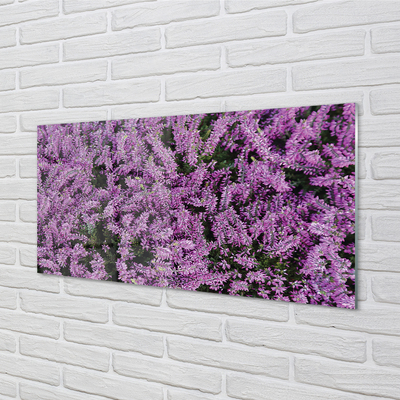 Szklany Panel Fioletowe kwiaty