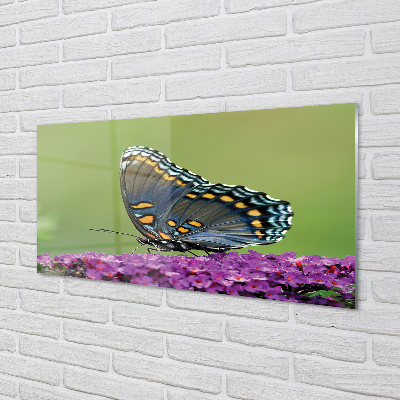 Panel Szklany Kolorowy motyl na kwiatach