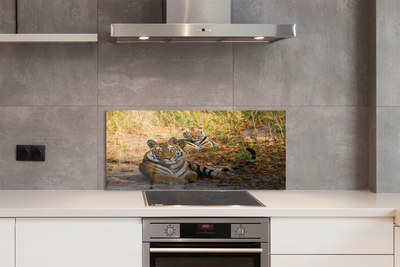 Panel szklany do Kuchni Królewska Para Tygrysów