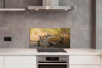 Panel szklany do Kuchni Królewska Para Tygrysów