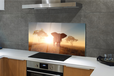 Panel szklany do Kuchni Słoń o Wschodzie Słońca na Sawannie