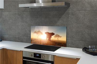 Panel szklany do Kuchni Słoń o Wschodzie Słońca na Sawannie