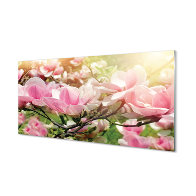 Panel Kuchenny Szklany Kolorowe Kwiaty