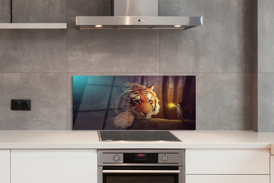 Panel szklany do Kuchni Spotkanie: Tygrys i Człowiek w Lesie