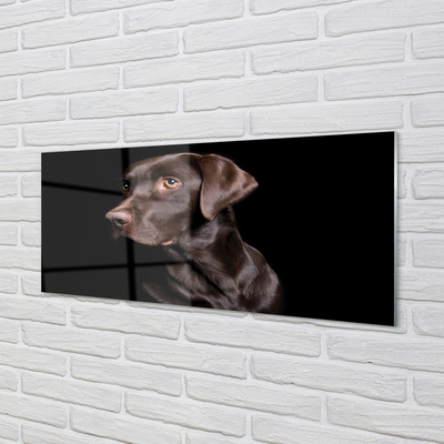 Szklany Panel Brązowy pies