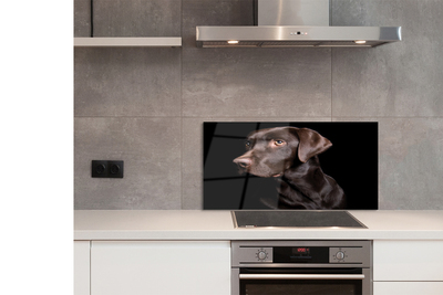 Panel szklany do Kuchni Wierny Brązowy Przyjaciel