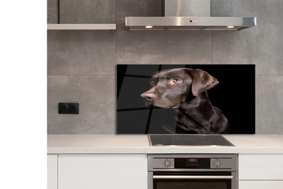 Panel szklany do Kuchni Wierny Brązowy Przyjaciel