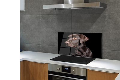 Panel szklany do Kuchni Wierny Brązowy Przyjaciel