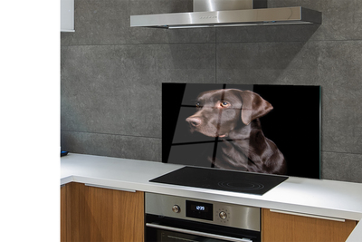 Panel szklany do Kuchni Wierny Brązowy Przyjaciel