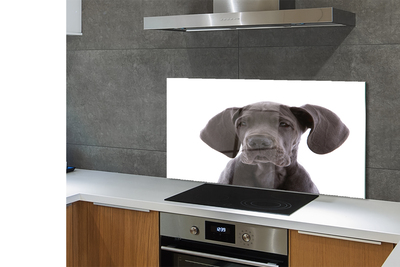 Panel szklany do Kuchni Portret Brązowego Psa