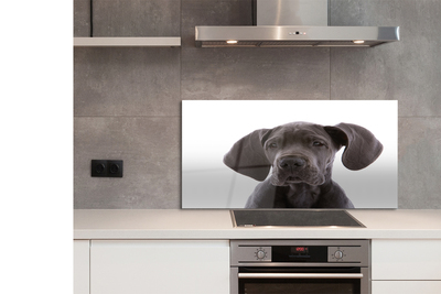 Panel szklany do Kuchni Portret Brązowego Psa