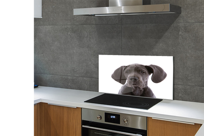 Panel szklany do Kuchni Portret Brązowego Psa