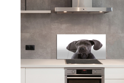 Panel szklany do Kuchni Portret Brązowego Psa