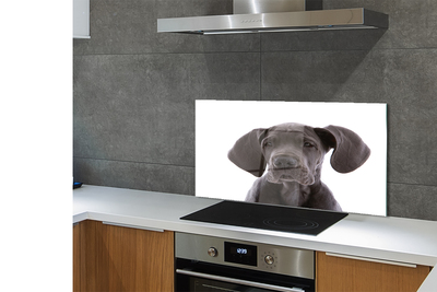 Panel szklany do Kuchni Portret Brązowego Psa