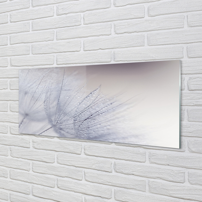 Panel nad Blat Kuchenny Dmuchawce w Porannej Rosie