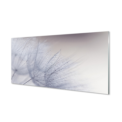 Panel nad Blat Kuchenny Dmuchawce w Porannej Rosie