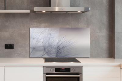 Panel nad Blat Kuchenny Dmuchawce w Porannej Rosie