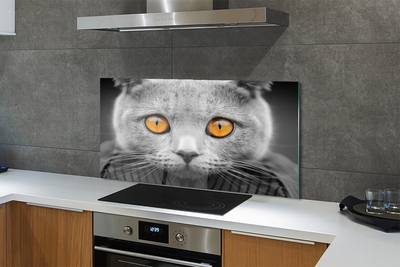 Panel Szklany Dostojny Szary Kot Brytyjski