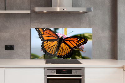 Panel nad Blat Kuchenny Portret Kolorowego Motyla