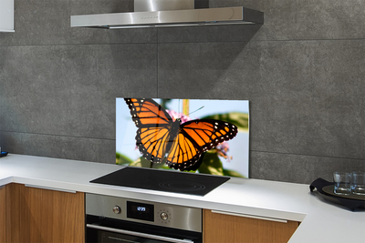 Panel nad Blat Kuchenny Portret Kolorowego Motyla