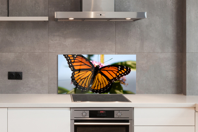 Panel nad Blat Kuchenny Portret Kolorowego Motyla