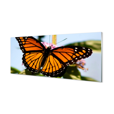Panel Szklany Kolorowy motyl