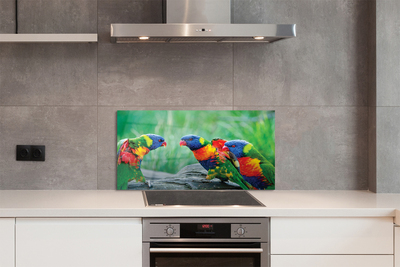 Panel Kuchenny Szklany Egzotyczne Papugi w Koronie Drzew