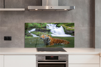 Panel szklany do Kuchni Tygrys nad Górskim Wodospadem