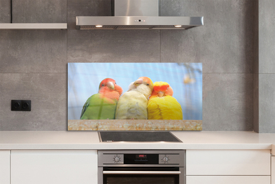 Panel Kuchenny Szklany Feeria Barw Tropikalnych Papug