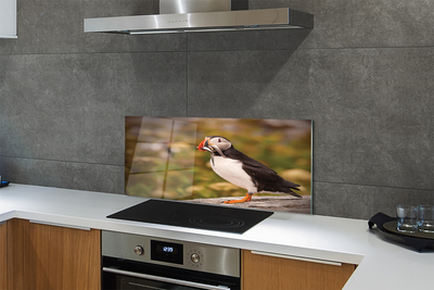 Panel Kuchenny Szklany Portret Barwnej Papugi