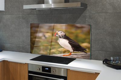 Panel Kuchenny Szklany Portret Barwnej Papugi